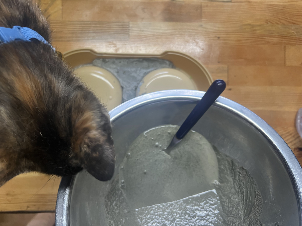 猫皿をダイソーコンクリートで重く