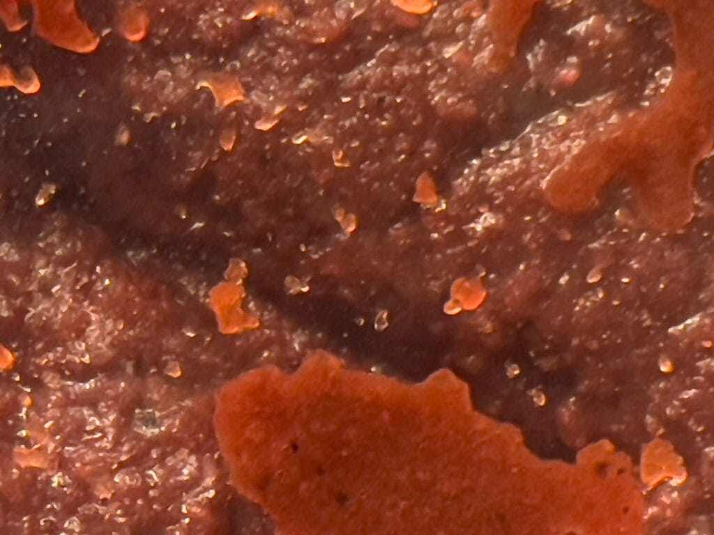 ダイソー　常温保存タイプ アミエビ 約250g