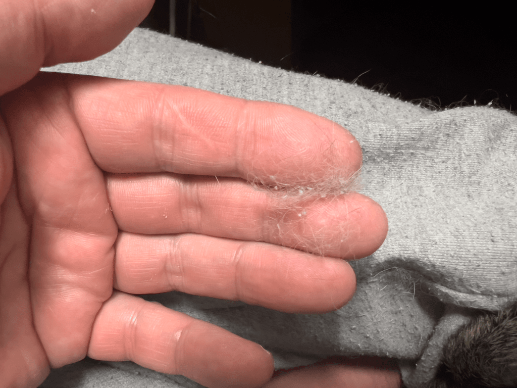 ダイソー エチケットブラシ