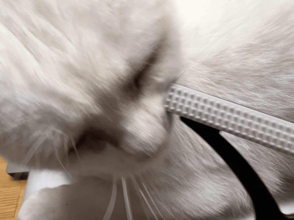 ダイソー エチケットブラシ