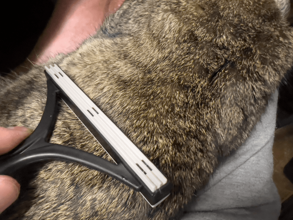 ダイソー エチケットブラシ