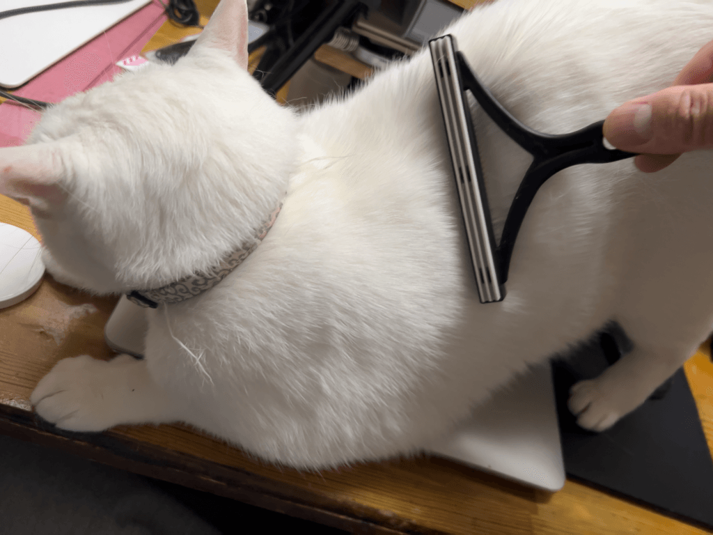 ダイソー エチケットブラシ