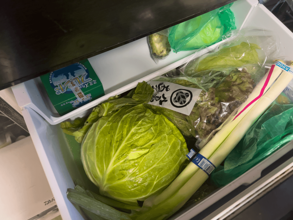 セリア　冷蔵庫スポンジシート