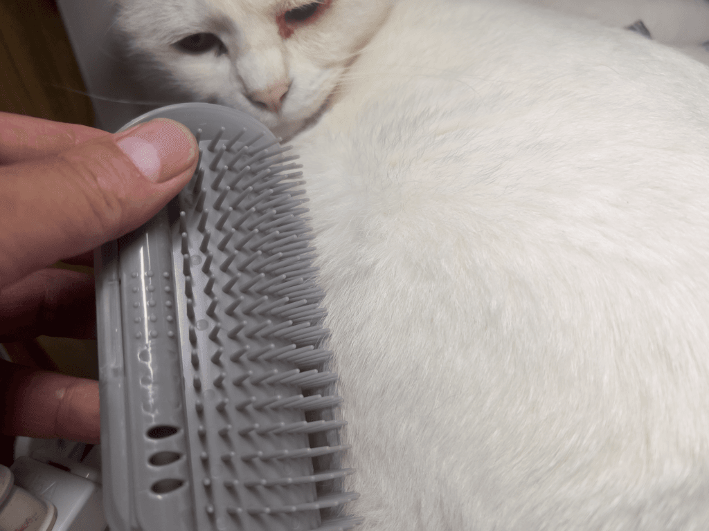 セリア　セルフグルーミングブラシ