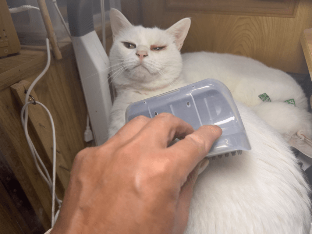 セリア　セルフグルーミングブラシ