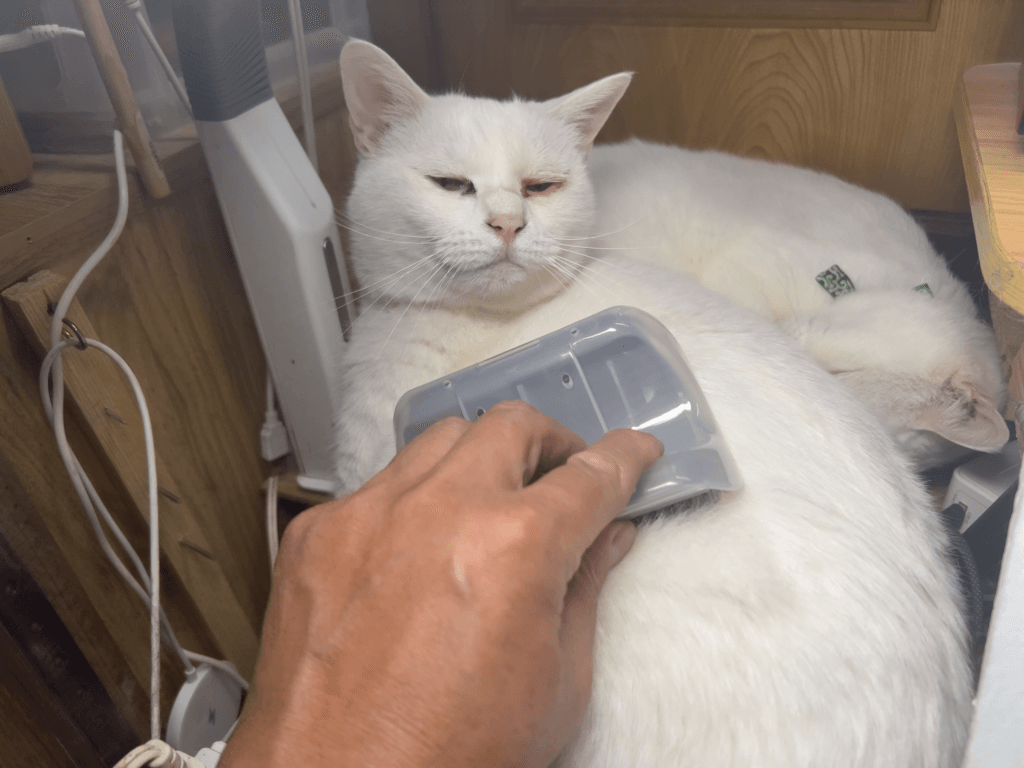 セリア　セルフグルーミングブラシ