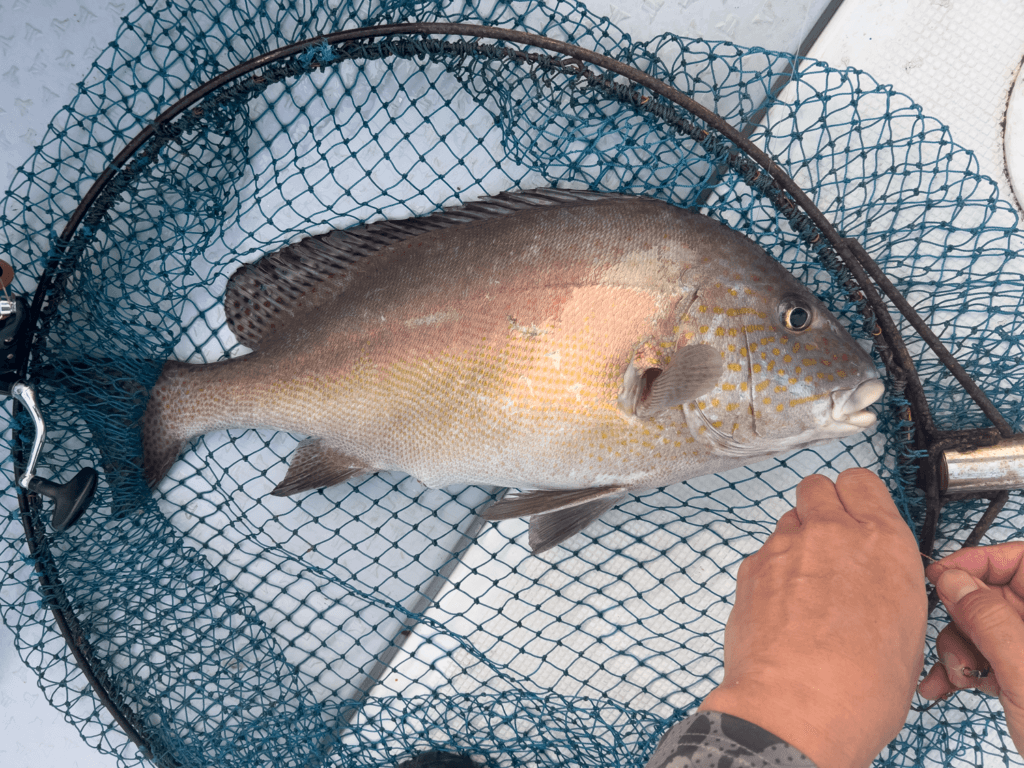 関門一つテンヤ