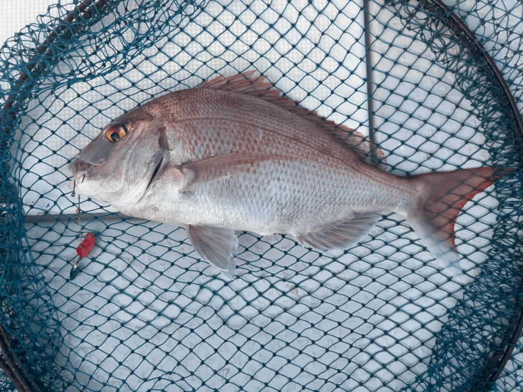 関門一つテンヤ