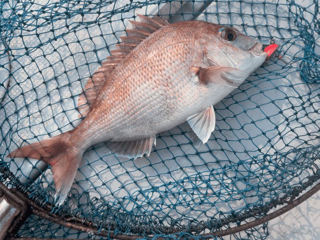 関門一つテンヤ