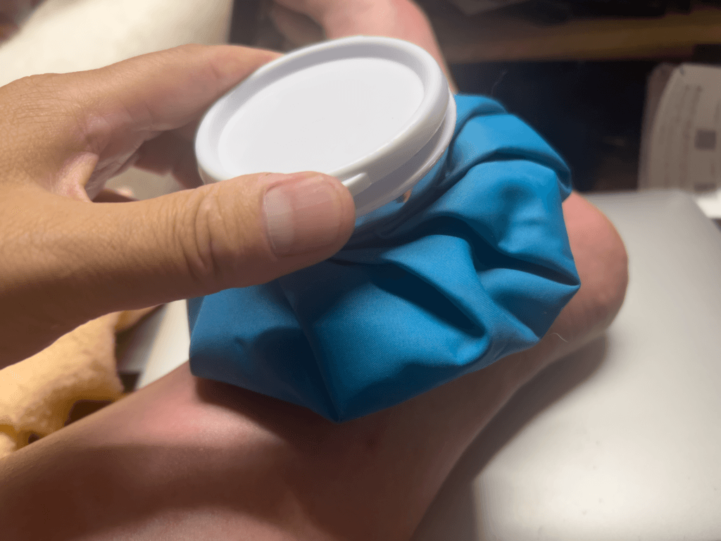 ブユ（ブヨ・ブト）刺され