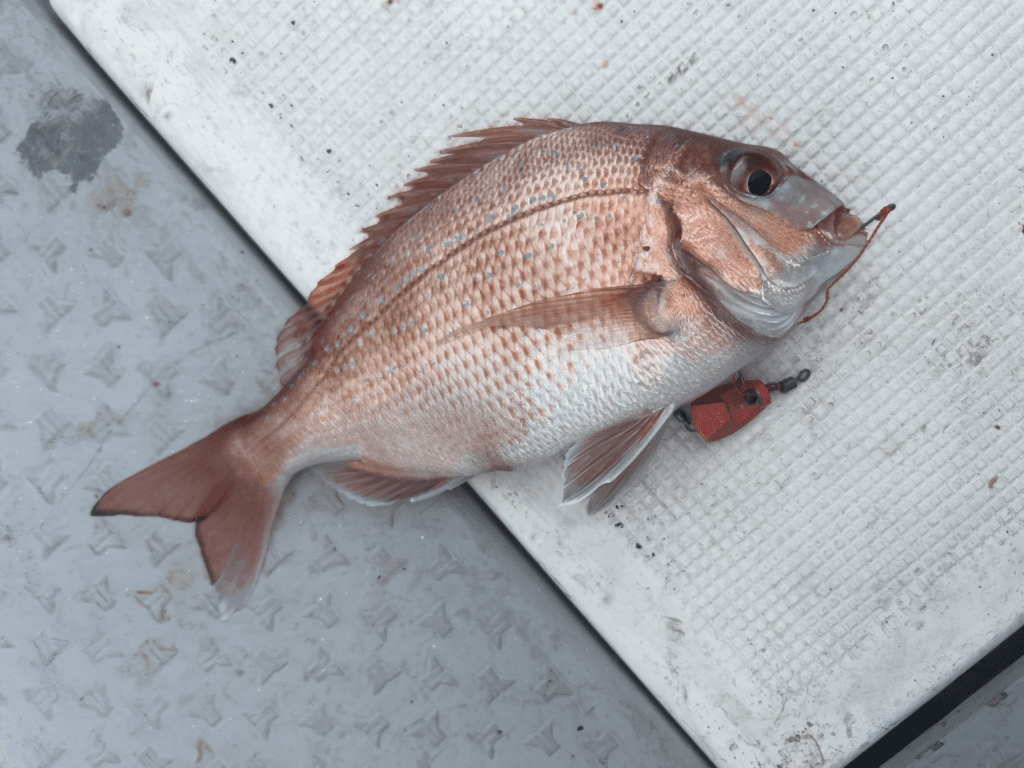 関門一つテンヤ