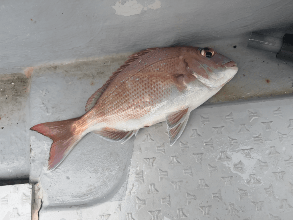 関門一つテンヤ