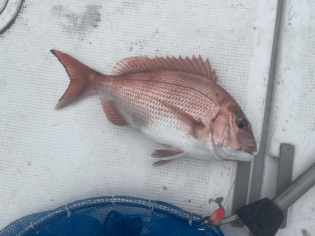 関門一つテンヤ