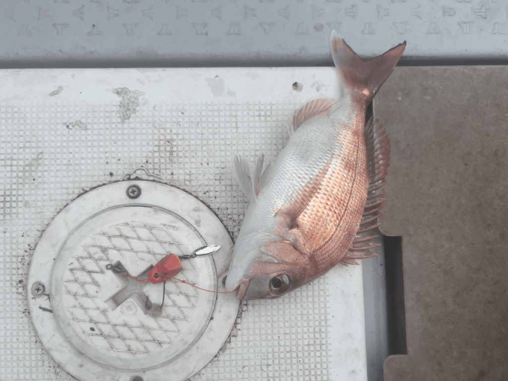 関門一つテンヤ