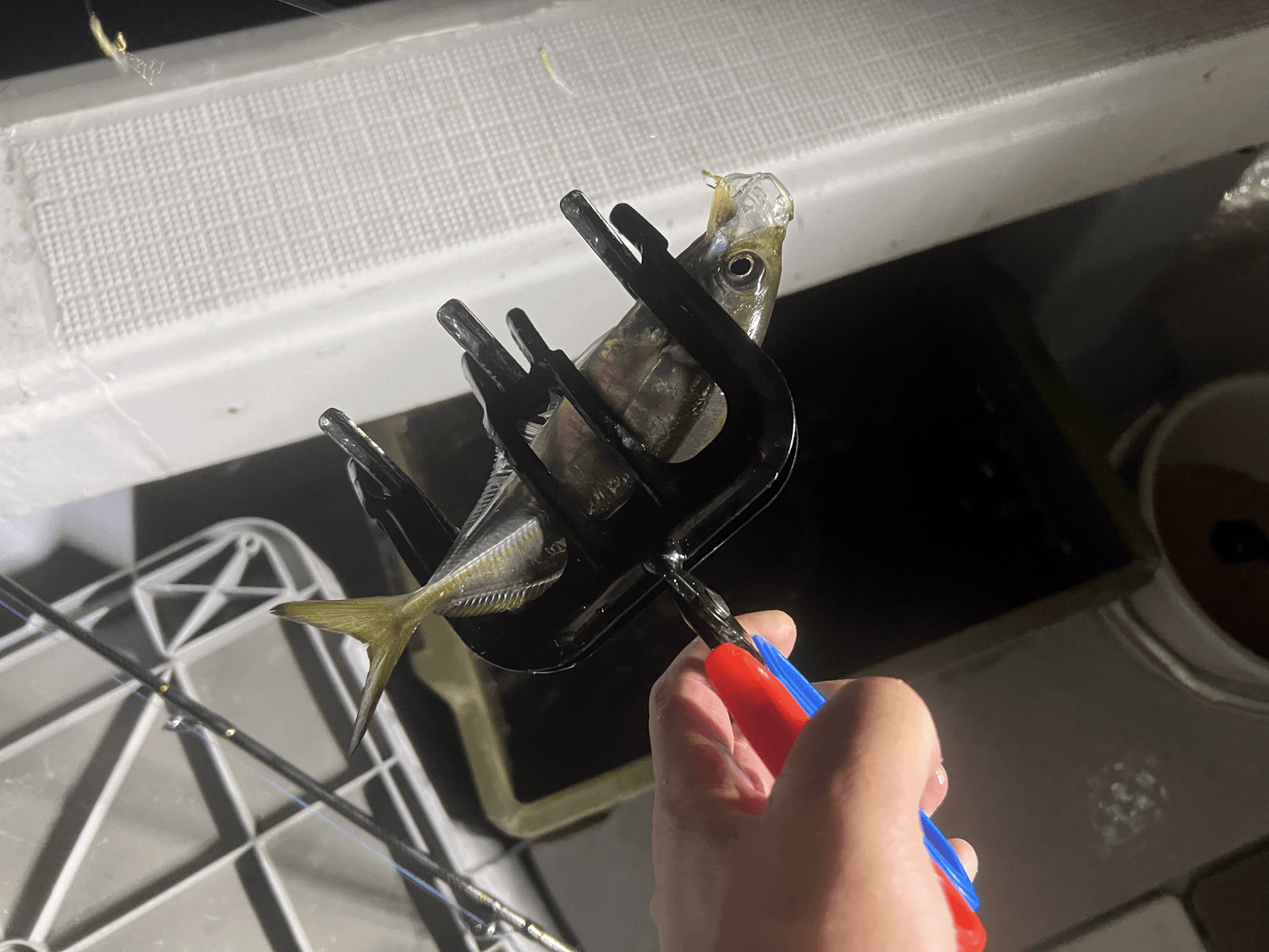 フィッシュグリップ　魚バサミ