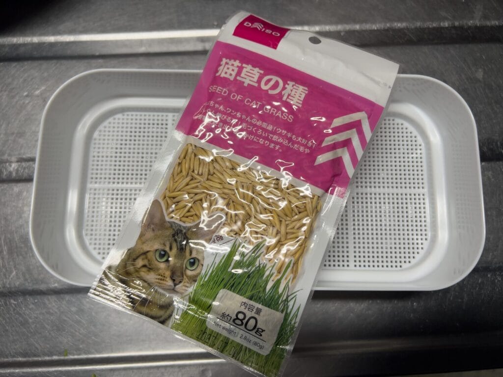 ダイソー　水栽培プランター