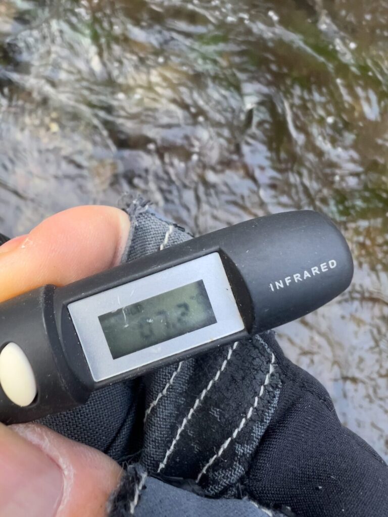 JISAKUYA ヤマメ釣り