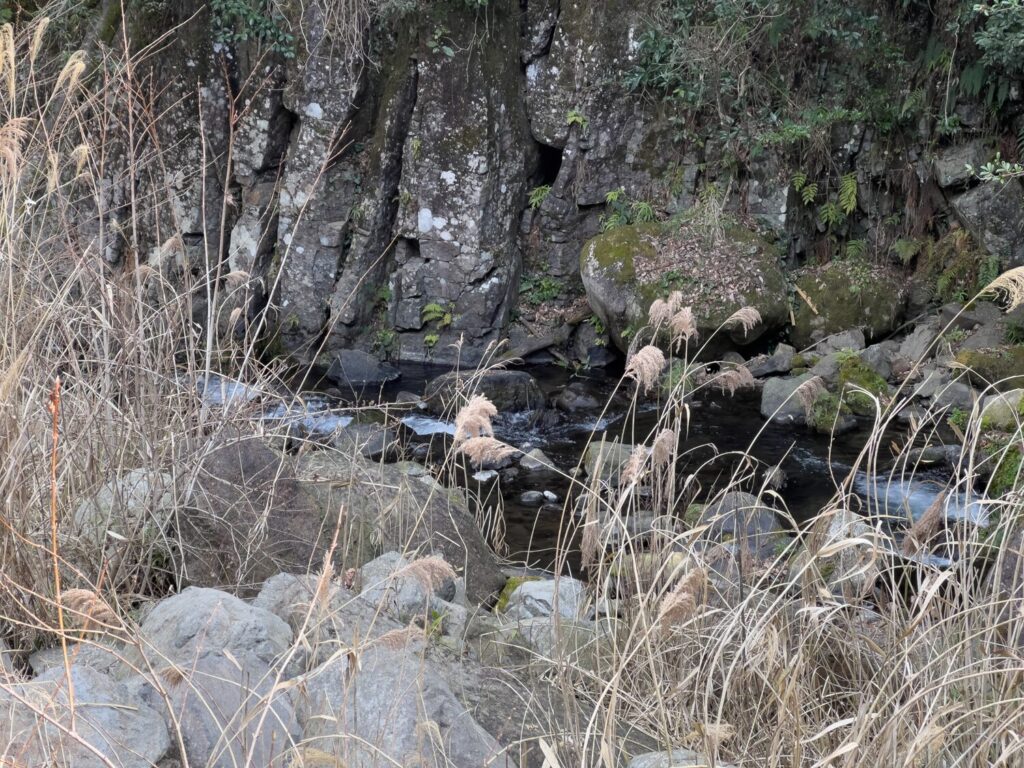 JISAKUYA ヤマメ釣り