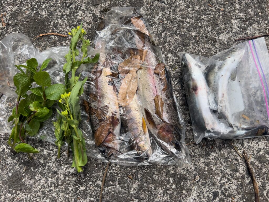 JISAKUYA ヤマメ釣り