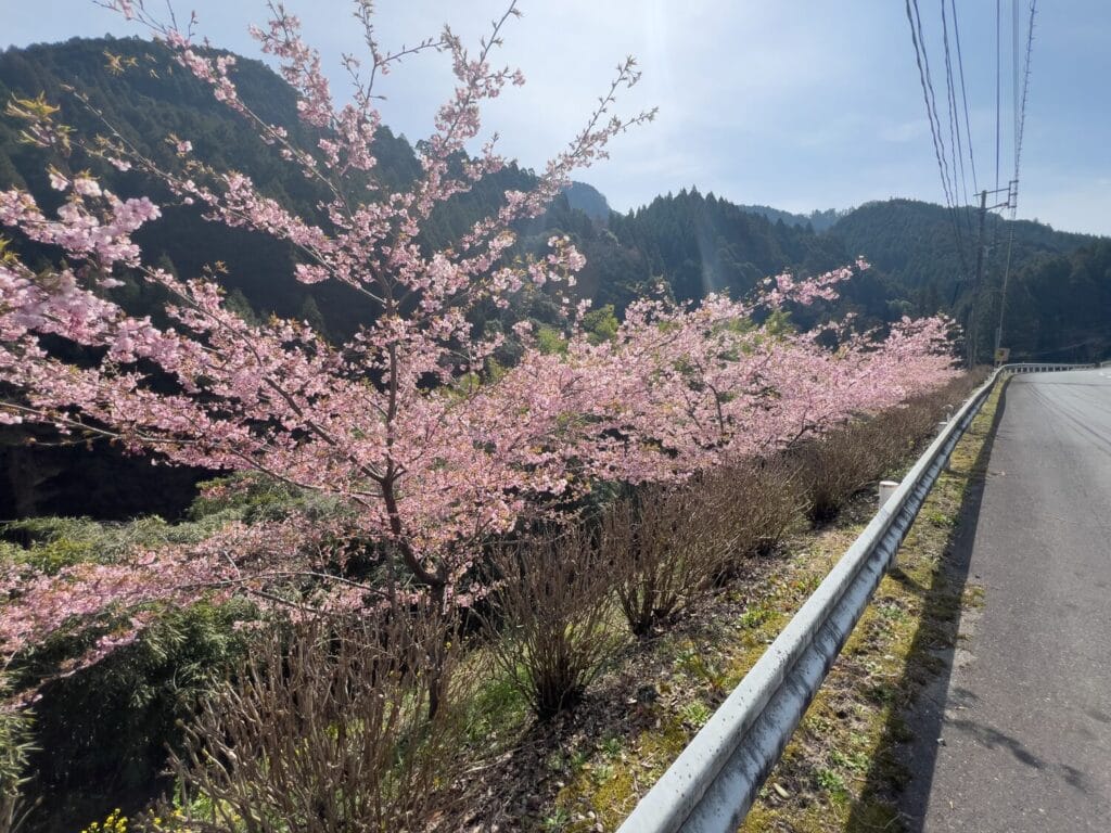 2026年3月 ヤマメ釣り