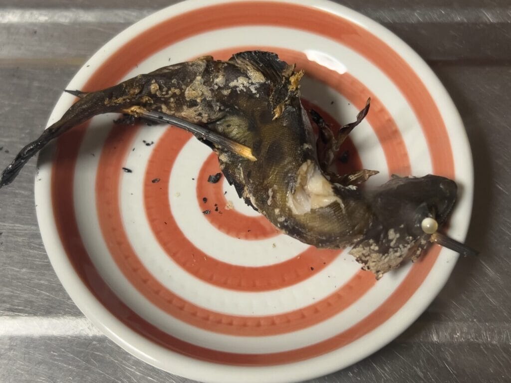 2026年3月 ヤマメ釣り