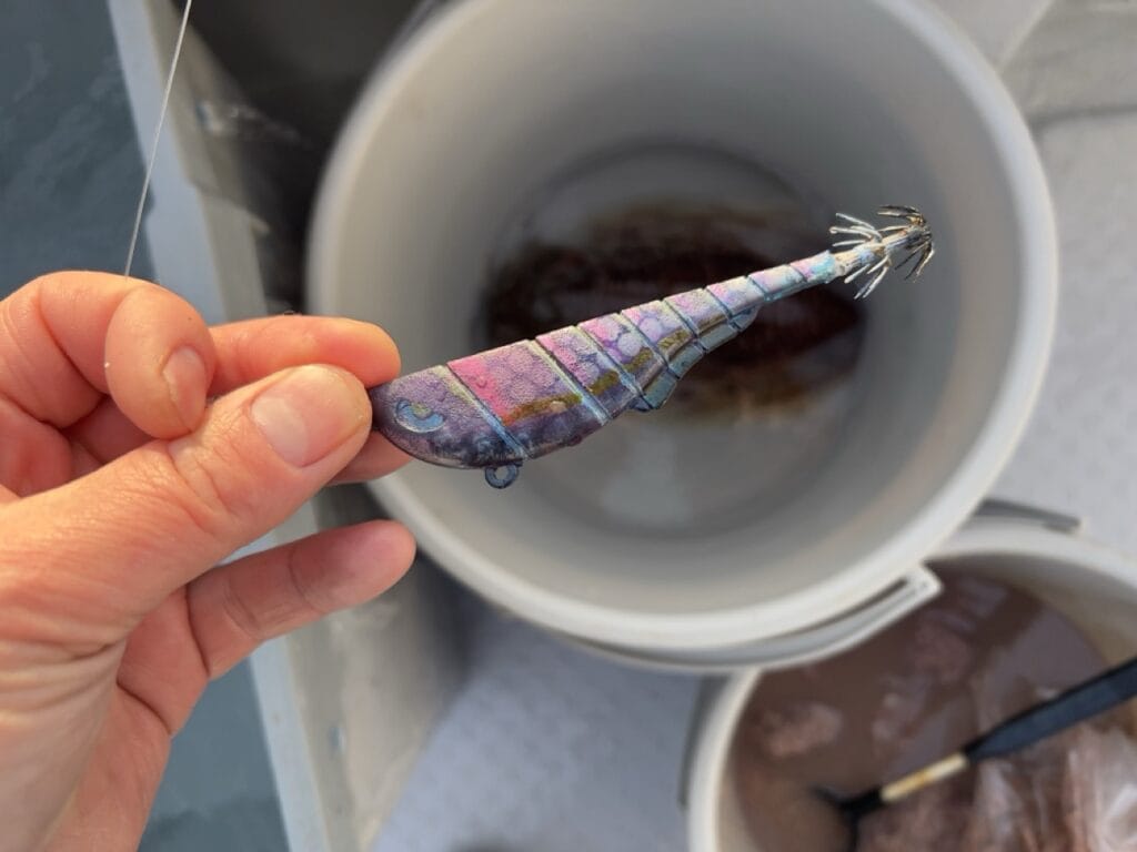 関門コウイカ 自作スッテでの釣果